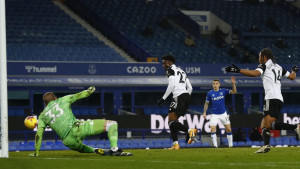 Fulham "zaledio" Goodison