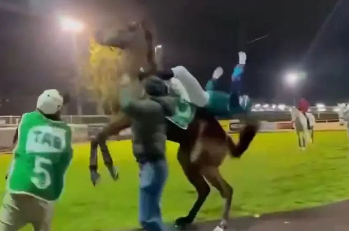 Ovo je bilo žestoko i bolno! Konj nokautirao džokeja, sportista pao kao pokošen! Ovo je bilo žestoko i bolno! Konj nokautirao džokeja, sportista pao kao pokošen!