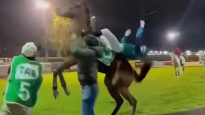 Ovo je bilo žestoko i bolno! Konj nokautirao džokeja, sportista pao kao pokošen!