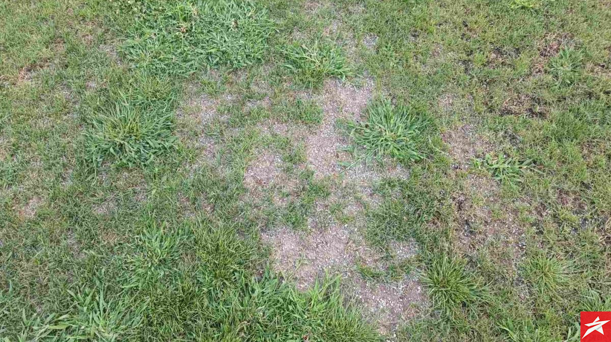 UEFA ne dozvoljava da se igra na Stadionu Rođeni, ali zato u Podgorici može UEFA ne dozvoljava da se igra na Stadionu Rođeni, ali zato u Podgorici može