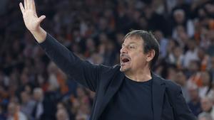 Ataman odabrao 12 košarkaša za BiH