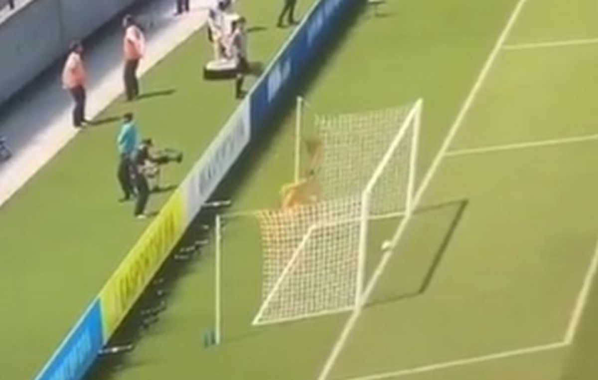 Požalio se na smiješnu grešku na FIFA 21, a u centru pažnje našao se Asmir Begović Požalio se na smiješnu grešku na FIFA 21, a u centru pažnje našao se Asmir Begović