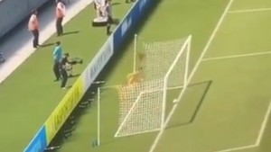 Požalio se na smiješnu grešku na FIFA 21, a u centru pažnje našao se Asmir Begović