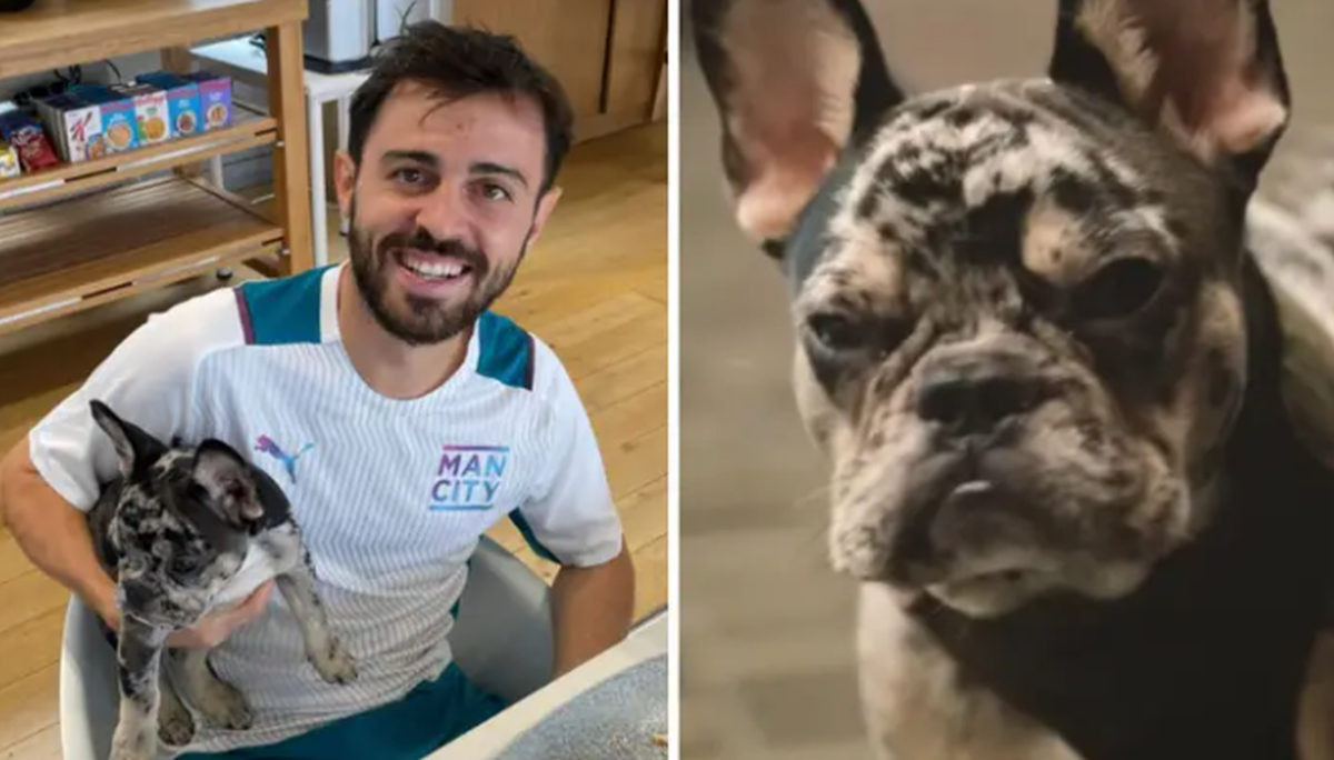 Bernardo Silva i partnerka psu dali ime po njegovom saigraču: "Inteligentan je..."