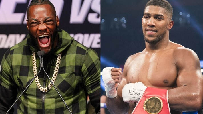 "Wilder je najbolji teškaš na svijetu, pobijedio bi Joshuu"