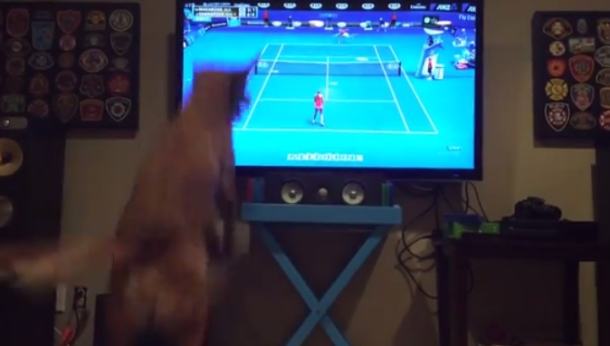 Kada pas gleda Australian Open