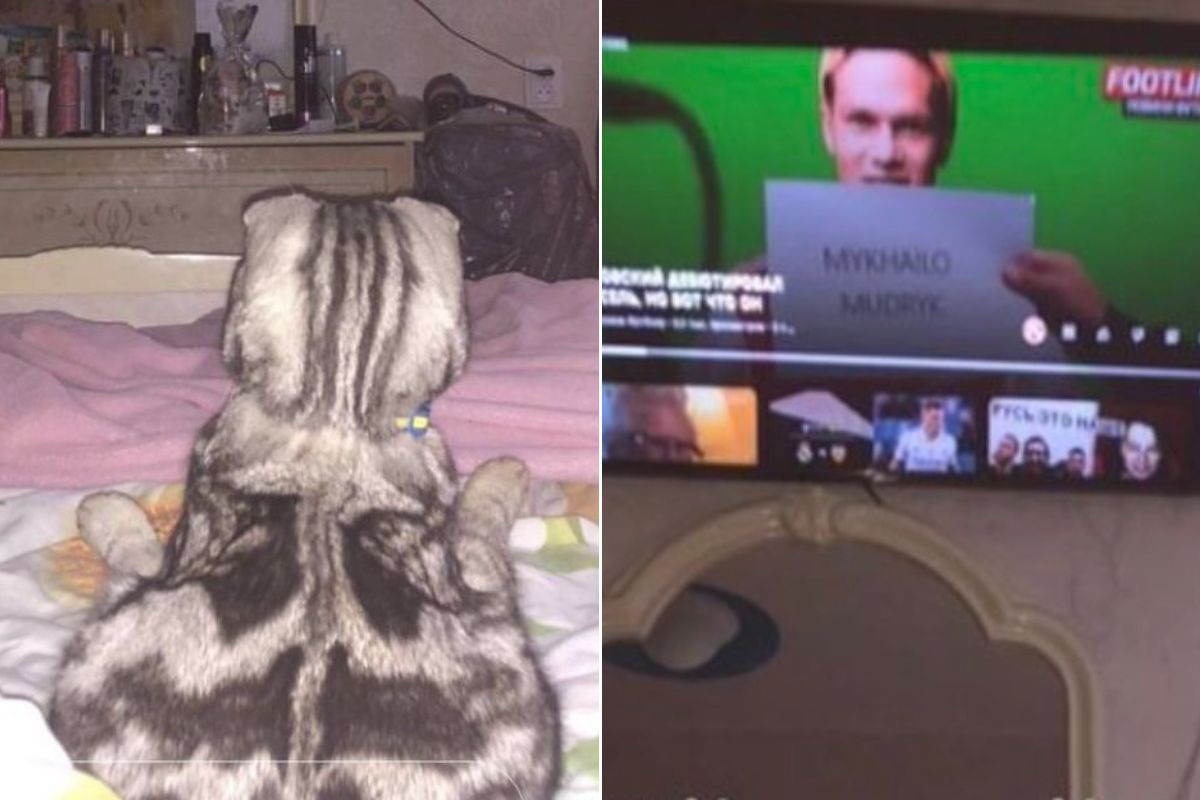 Momak od 100 miliona javno pokazuje za koji tim mu srce kuca, ali ko će dati toliko novca