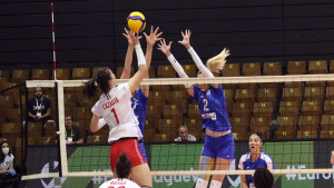 Francuska nakon velike borbe savladala Bosnu i Hercegovinu