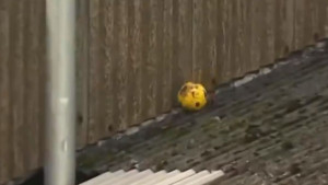 Ova lopta na krovu stadiona je apsolutni hit na društvenim mrežama 