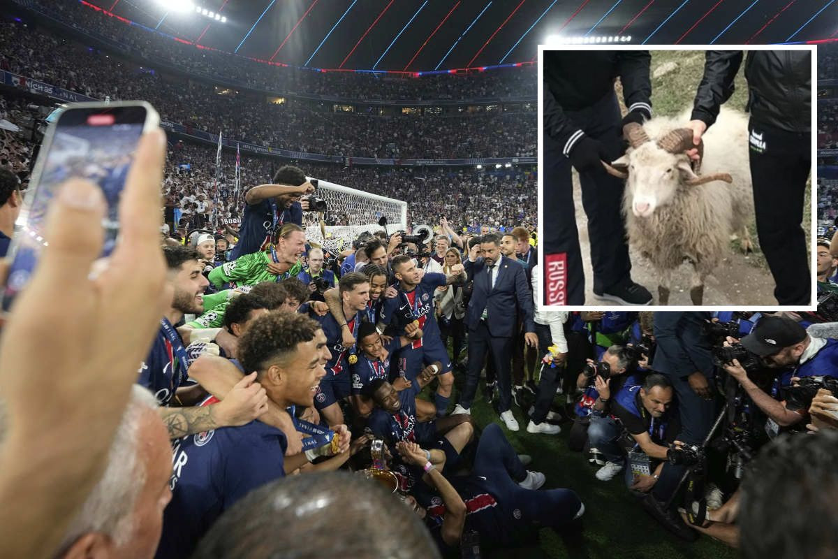 Dva šampiona sinoć slavila na Allianz Areni, danas čuvaju ovce u svom selu: "Ne stidimo se" Dva šampiona sinoć slavila na Allianz Areni, danas čuvaju ovce u svom selu: "Ne stidimo se"