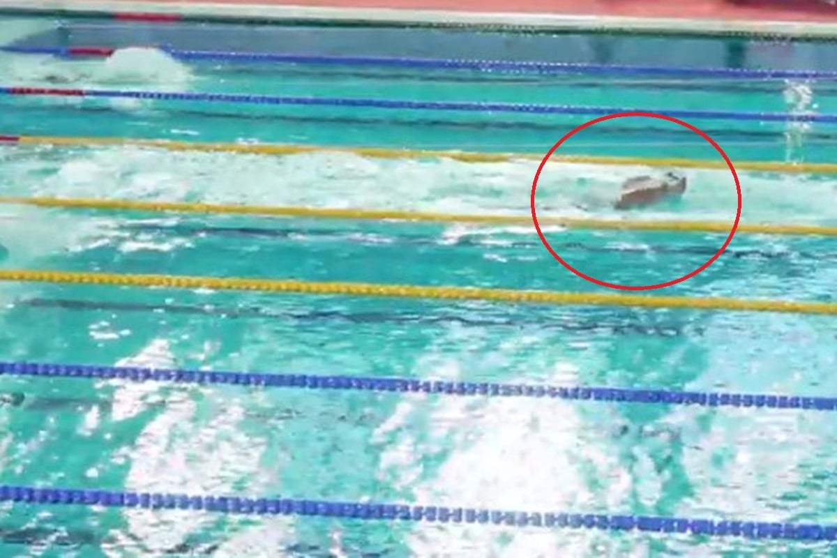 Ona pliva, ostale gledaju - Pogledajte kako je Lana Pudar došla do novog zlata i evropskog rekorda!