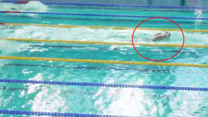 Ona pliva, ostale gledaju - Pogledajte kako je Lana Pudar došla do novog zlata i evropskog rekorda!