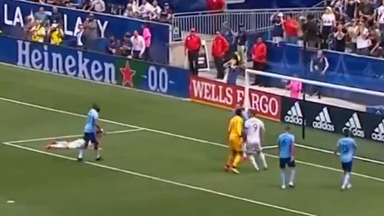 Zlatan suspendovan jer je davio protivničkog golmana!