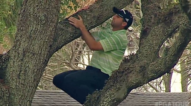 Nevjerovatno: Golfer se popeo na stablo da bi izveo udarac