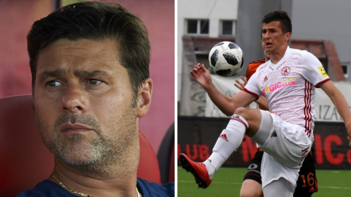 Tottenham i Čataković Hamza - razlozi za oduševljenje