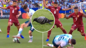 Argentinac tražio prekršaj od sudije, a nije ni shvatio da ga je "faulirao" golub
