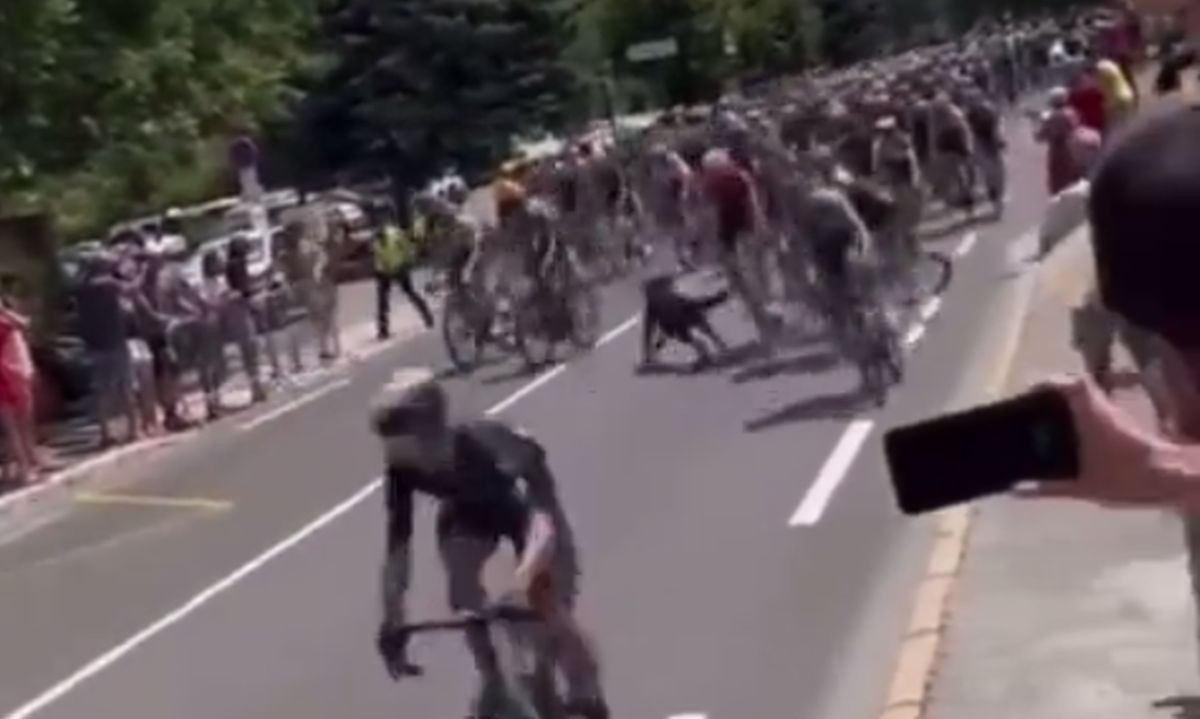 Pas skrivio nesvakidašnju nesreću na Tour de France