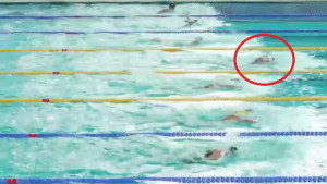 Lana pliva, ostale mogu samo da gledaju: Pogledajte maestralno plivanje u polufinalu