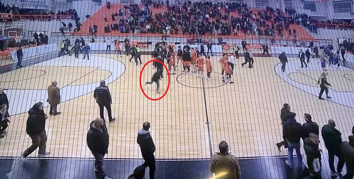 Ko bi rekao da su takvi? Na Kosovu udarili jedni na druge, u Srbiji nevjerica zbog scena iz Prizrena Ko bi rekao da su takvi? Na Kosovu udarili jedni na druge, u Srbiji nevjerica zbog scena iz Prizrena