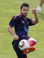 Fabregas povrijeđen i propušta Njemačku Fabregas povrijeđen i propušta Njemačku