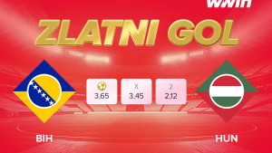 SAMO U WWIN-u: Zlatni gol za Reprezentaciju Bosne i Hercegovine