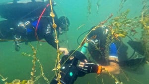 Ronilački klub KVS Scuba Sarajevo održao eko akciju čišćenja Boračkog jezera