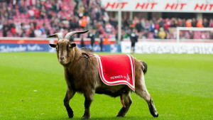Simbol Bundeslige više nije sa nama: Koln objavio tužne vijesti za navijače