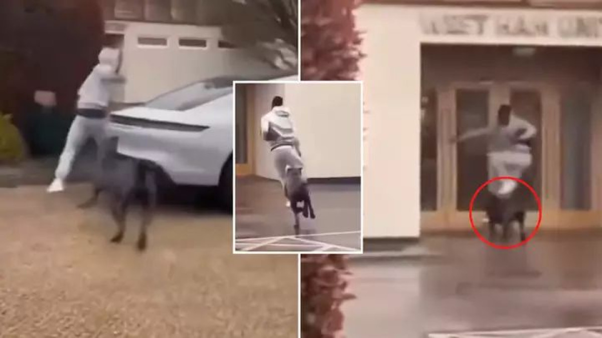 Igrač West Hama izbezumljeno i panično bježao od psa na parkingu, saigrači ga snimali i ismijavali