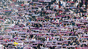 Veliki je Hajduk: Od članarina Bili prikupili novca više od budžeta mnogih bh. klubova