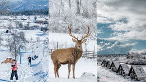 Zimska ponuda za januar u Ajdinovićima – Savršen odmor u prelijepom planinskom ambijentu!