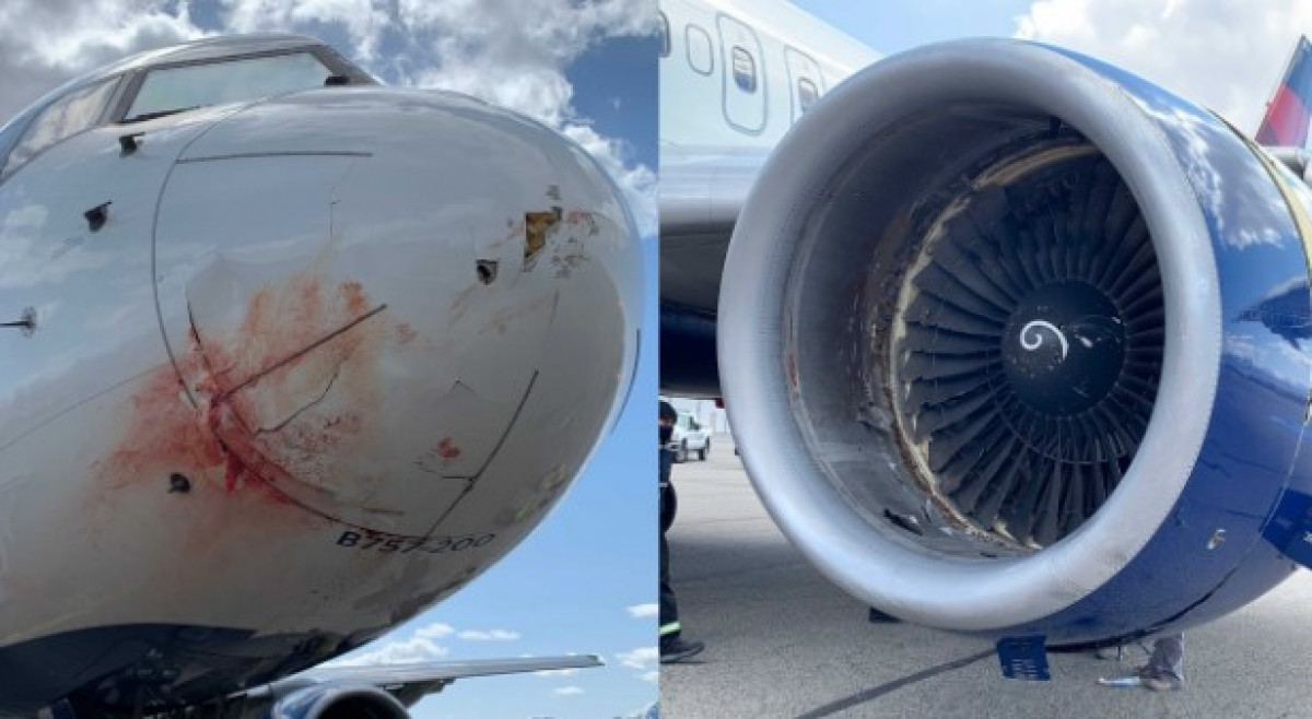 Igrači Utah Jazza zahvaljuju Bogu što su živi: Avion prinudno sletio nakon žestokog udara ptica Igrači Utah Jazza zahvaljuju Bogu što su živi: Avion prinudno sletio nakon žestokog udara ptica