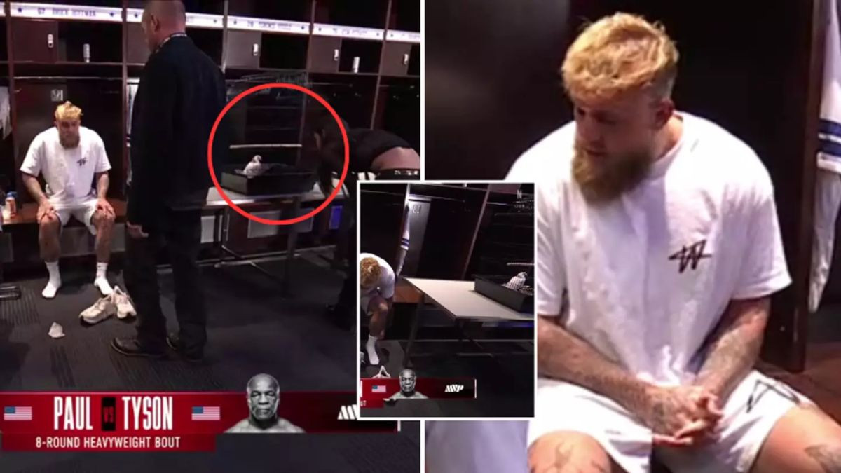 Golub iz svlačionice Jake Paula svima je privukao pažnju - Razlog zbog kojeg je tamo je bizaran! Golub iz svlačionice Jake Paula svima je privukao pažnju - Razlog zbog kojeg je tamo je bizaran!