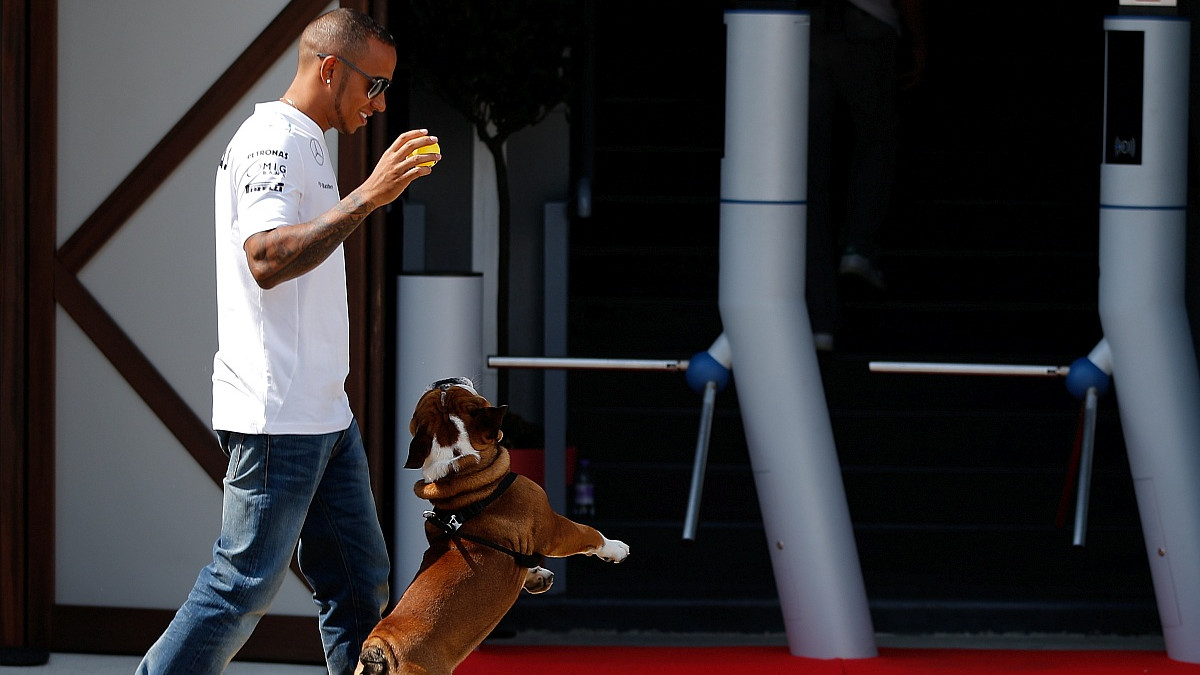 Vjerovali ili ne, pas Lewisa Hamiltona ima dnevnicu od 1200 KM