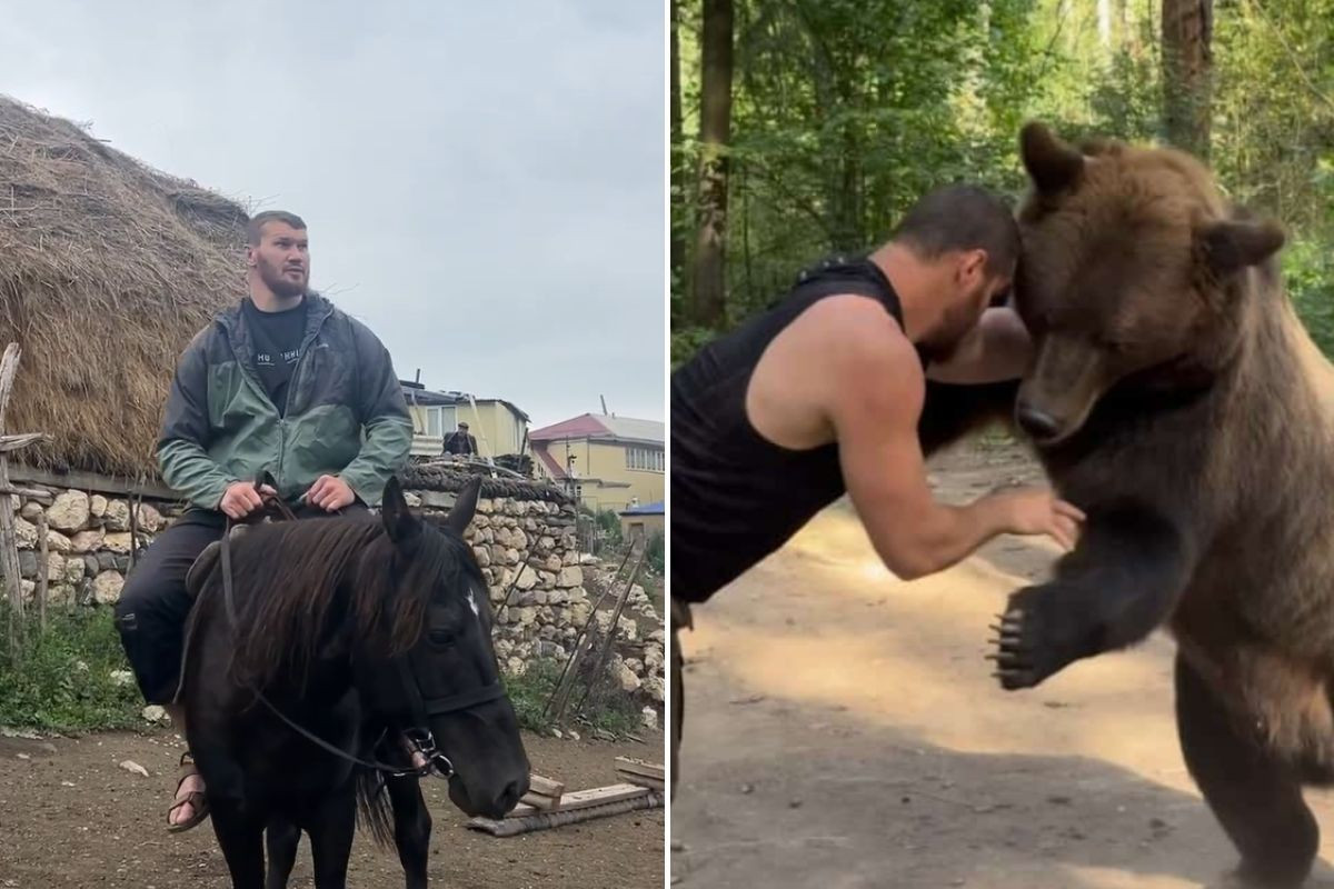 Neka se sklone svi, posrnula zvijer je gladna: "On dolazi po vas" Neka se sklone svi, posrnula zvijer je gladna: "On dolazi po vas"