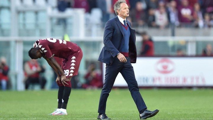 Fenerbahče traži trenera, u igri i Mihajlović
