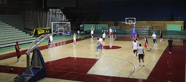 Bosna bolja od Panioniosa u trening meču Bosna bolja od Panioniosa u trening meču