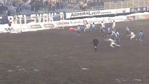 Ekspresan povratak Želje
