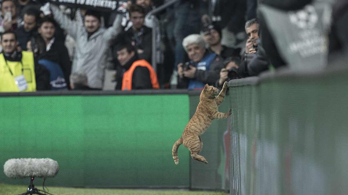 UEFA pokrenula disciplinski postupak zbog "zvijeri" na Vodafone Parku