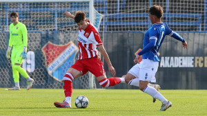 U fabrici 'Crvena zvezda' stvara se nova zvijer - Bez daha se gleda šta ovaj momak radi!