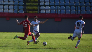 Crnogorac i Petrović odabrali sastave