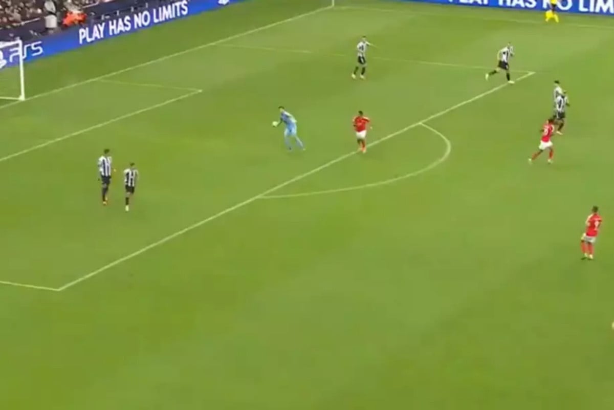 Amar Dedić, ali i svi na stadionu bili su šokrani nakon poteza Popea! Amar Dedić, ali i svi na stadionu bili su šokrani nakon poteza Popea!