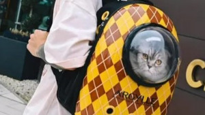 Fanovi šokirani i zbunjeni - Zvijezda Chelseaja došla na trening s mačkom u torbi?