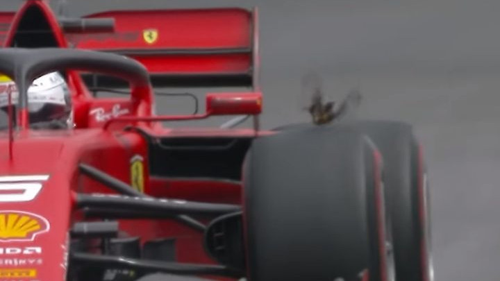 Sebatian Vettel u "duelu" s najsretnijom pticom na svijetu
