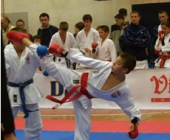 Karate turnir u Sarajevu