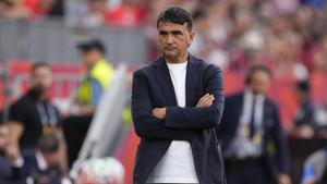 Zlatko Dalić ima novi posao!