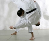 BEsplatni Jiu Jitsu i Submission treninzi