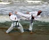 Formira se regionalna karate liga