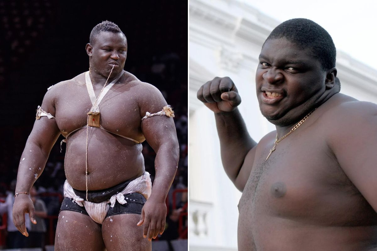 Najteža borba svih vremena: U ring ulaze zvijeri koje skupa imaju preko 320 kilograma Najteža borba svih vremena: U ring ulaze zvijeri koje skupa imaju preko 320 kilograma