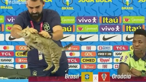 PETA brutalna prema brazilskom PR-u: Udarili su mu na muškost!