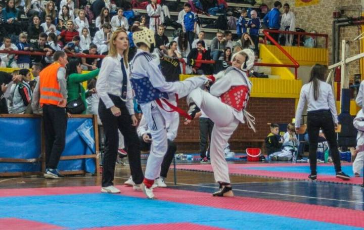 Djevojke u Brezi sve više vole taekwondo